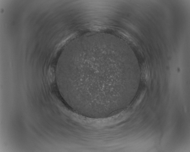 X0000073870043200608171018