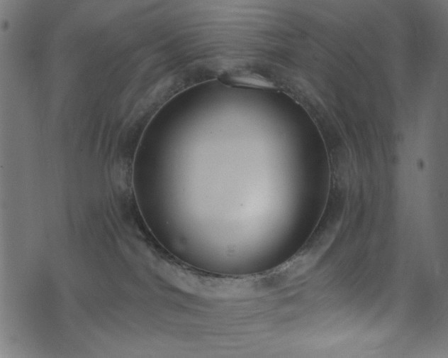 X0000073870044200608171018