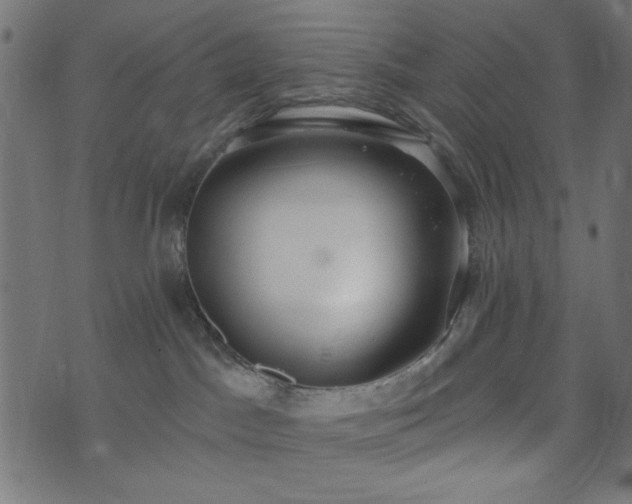 X0000073870045200608171018