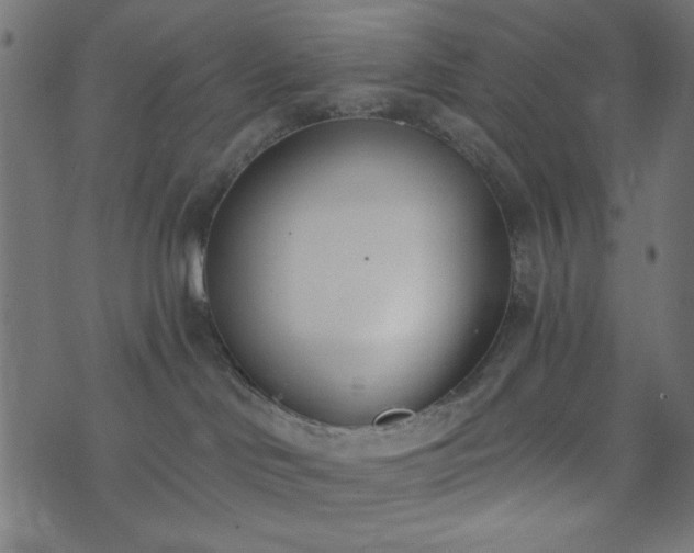 X0000073870046200608171018