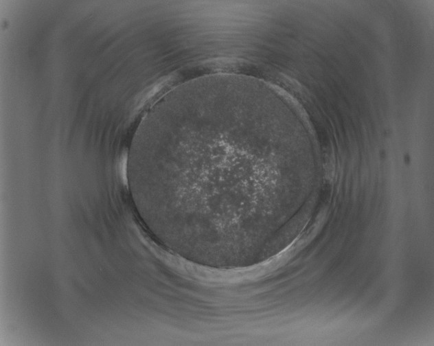 X0000073870047200608171018