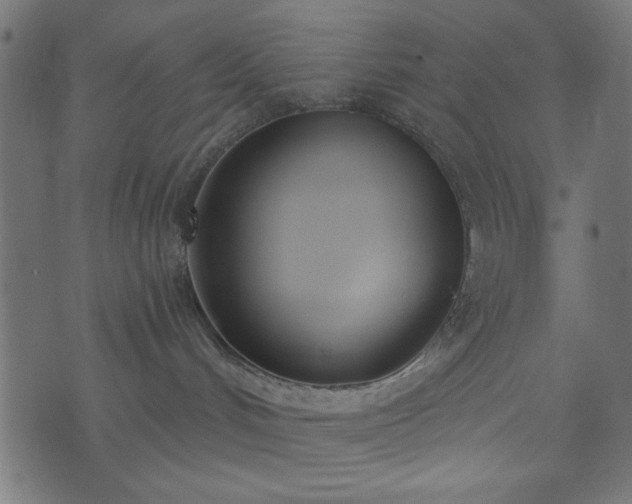 X0000073870048200608171018