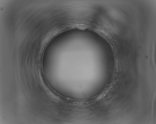 X0000073870049200608171018