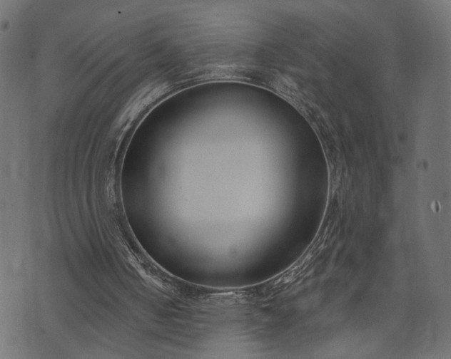 X0000073870050200608171018