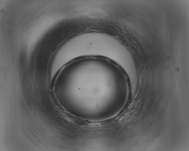 X0000073870052200608171018