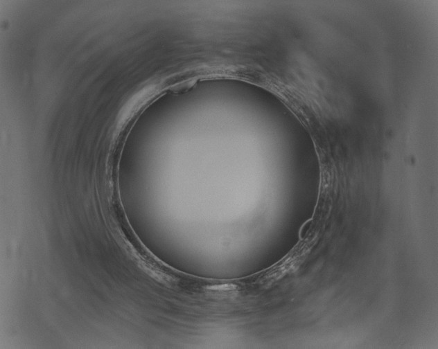 X0000073870053200608171018