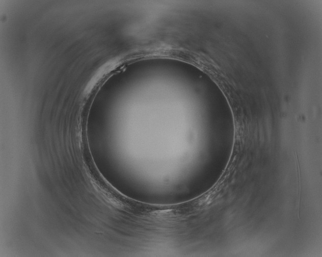 X0000073870054200608171018