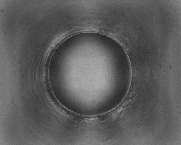 X0000073870055200608171018