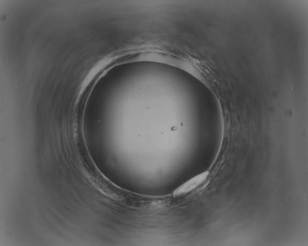 X0000073870056200608171018