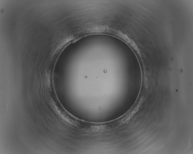 X0000073870057200608171018