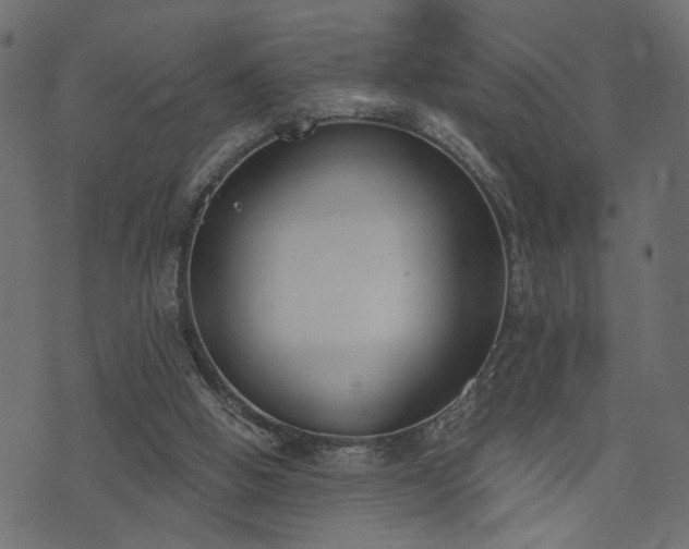 X0000073870058200608171018