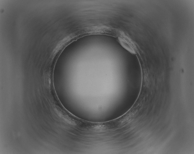 X0000073870059200608171018