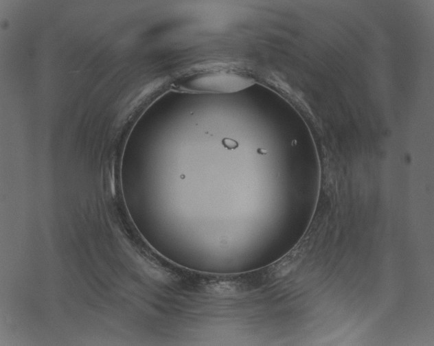 X0000073870062200608171018