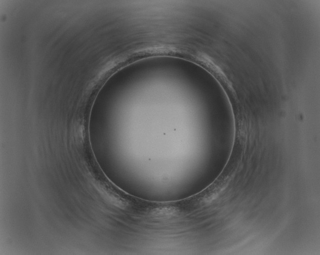 X0000073870063200608171018