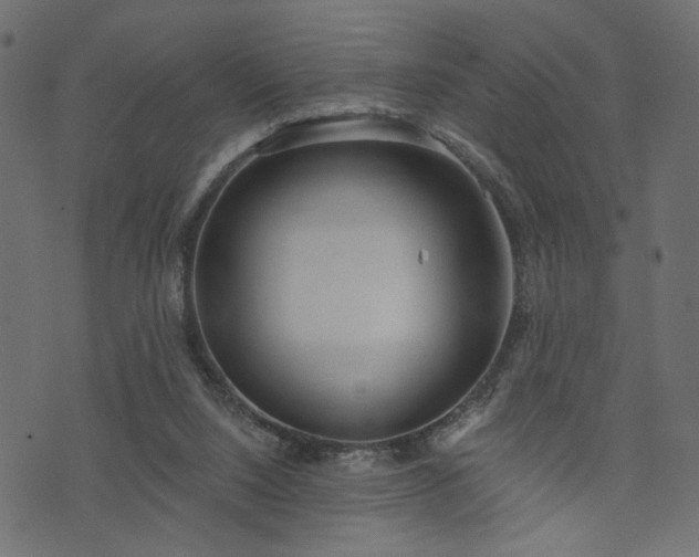 X0000073870064200608171018