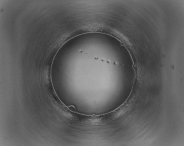 X0000073870065200608171018