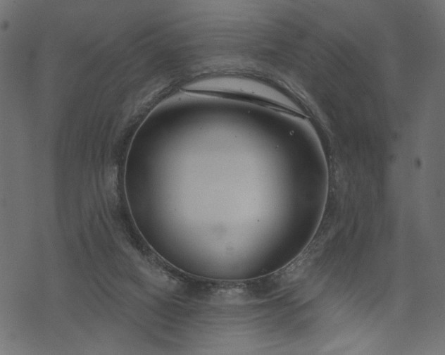 X0000073870066200608171018