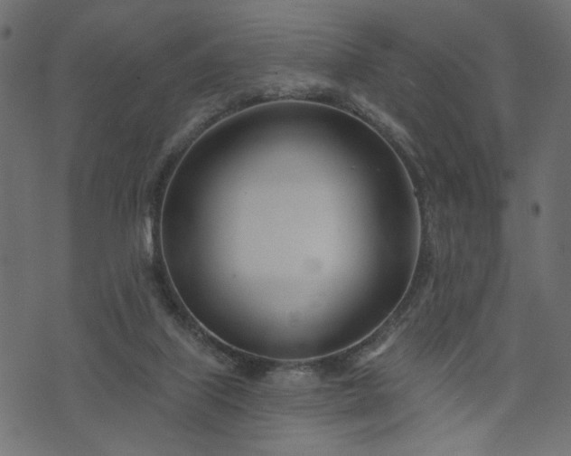 X0000073870067200608171018