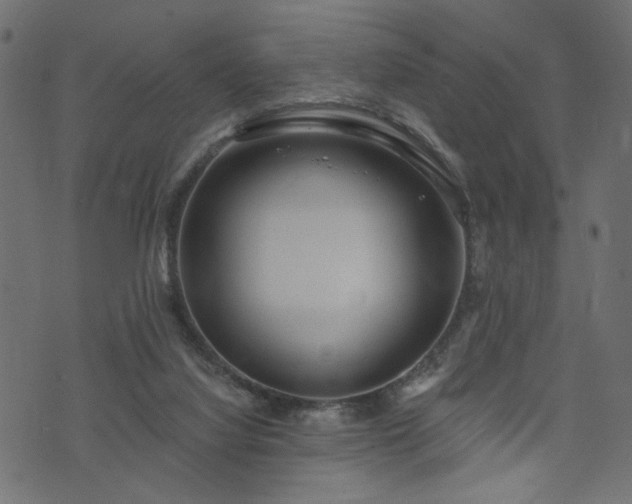 X0000073870068200608171018