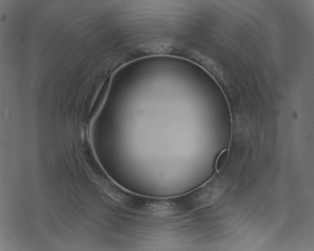 X0000073870069200608171018