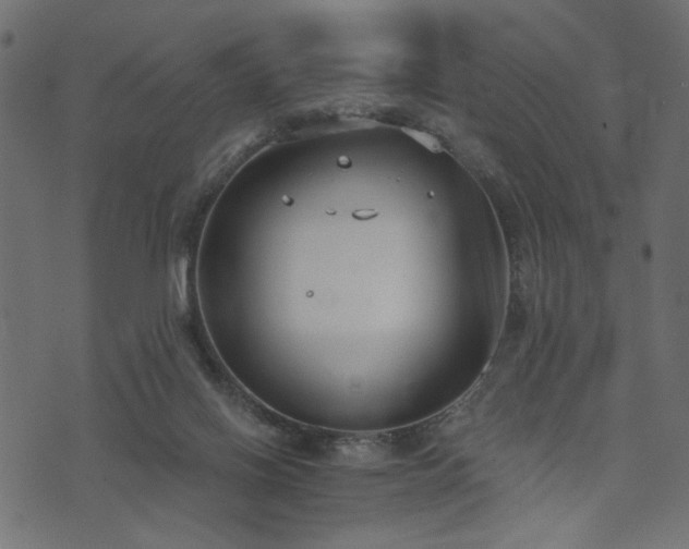 X0000073870070200608171018