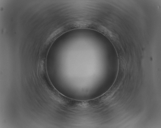 X0000073870071200608171018