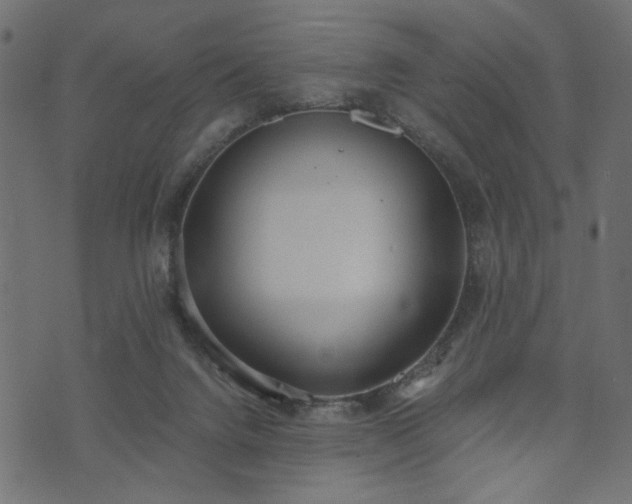 X0000073870072200608171018