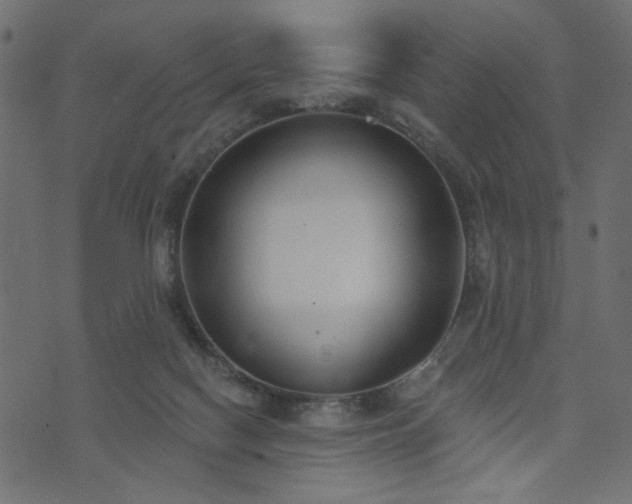 X0000073870074200608171018