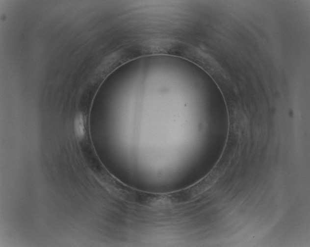 X0000073870075200608171018