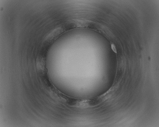 X0000073870078200608171018