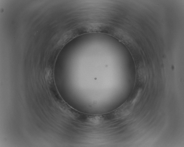 X0000073870079200608171018