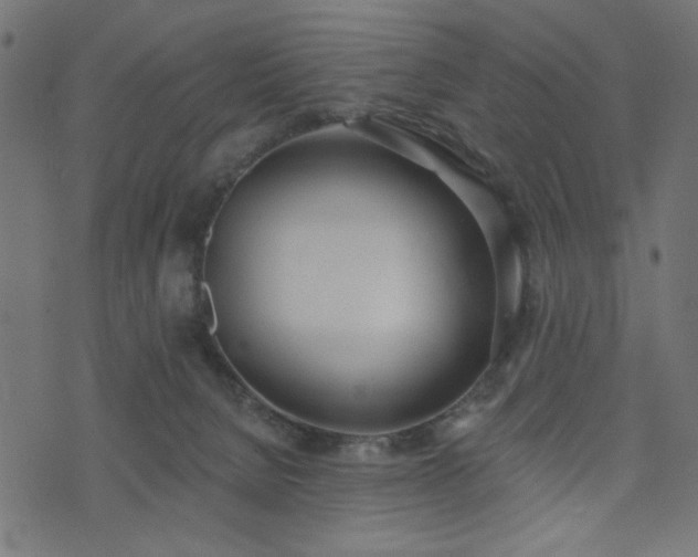 X0000073870080200608171018