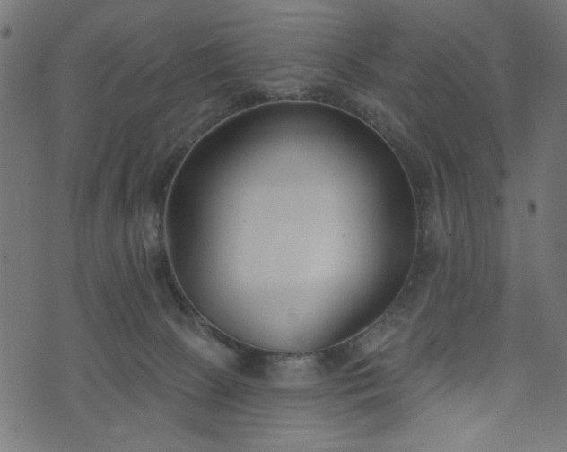 X0000073870081200608171018