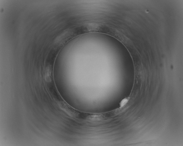 X0000073870082200608171018