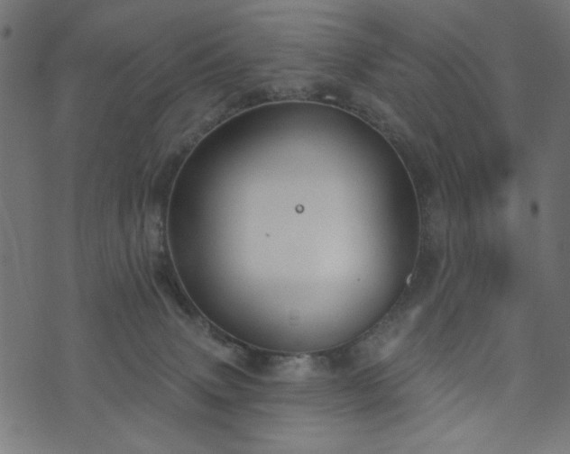 X0000073870083200608171018