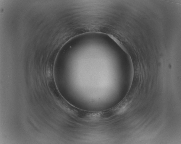 X0000073870084200608171018