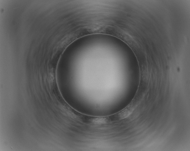 X0000073870085200608171018