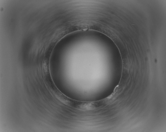 X0000073870086200608171018