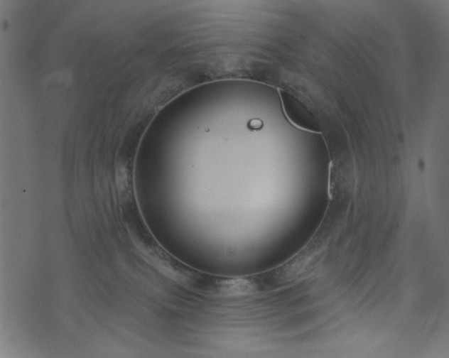 X0000073870087200608171018