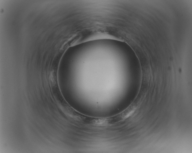 X0000073870088200608171018