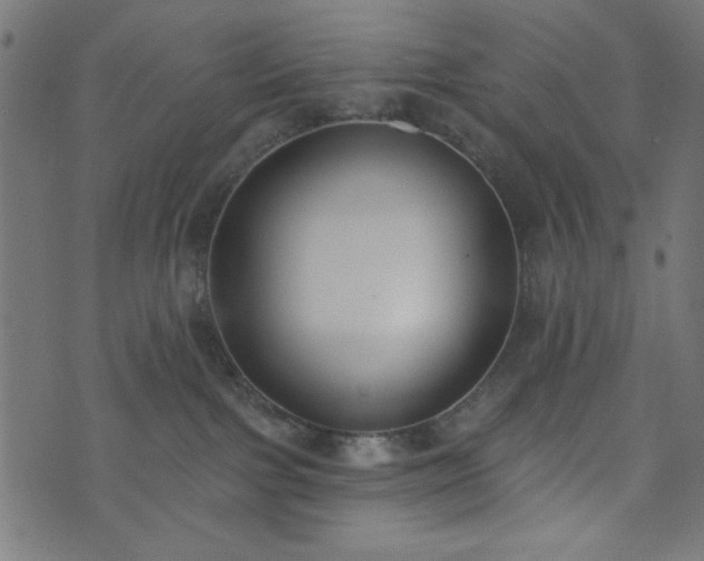 X0000073870091200608171018