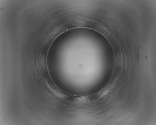 X0000073870092200608171018