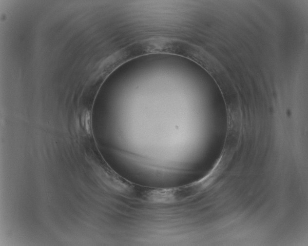 X0000073870094200608171018