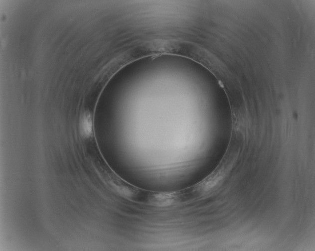 X0000073870095200608171018