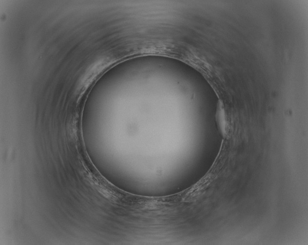 X0000073870098200608171017