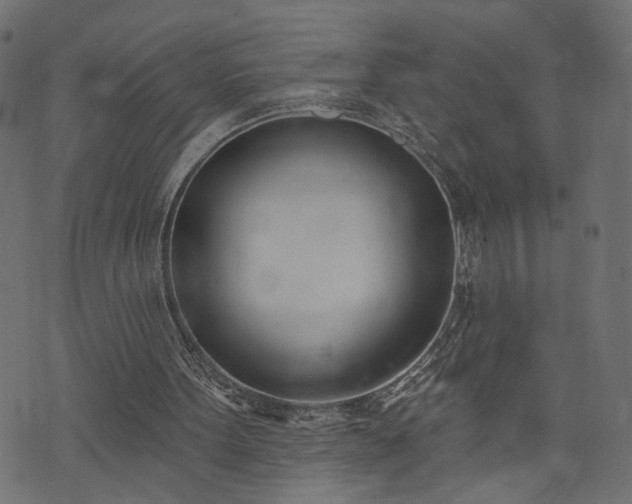 X0000073870099200608171017