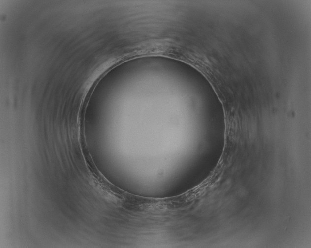 X0000073870100200608171017