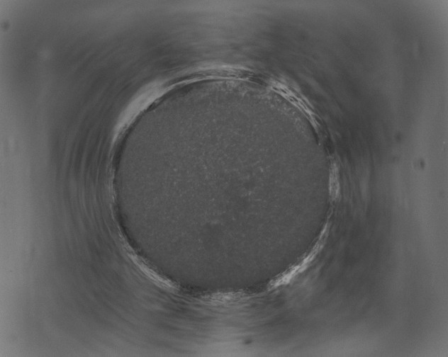 X0000073870101200608171017