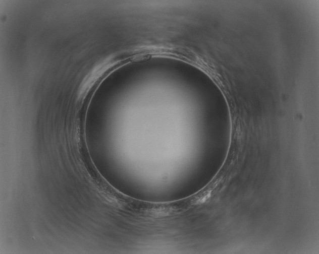 X0000073870103200608171017