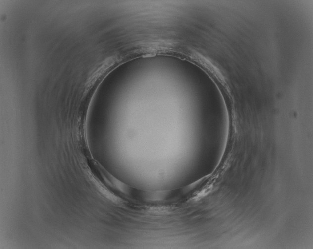 X0000073870105200608171017